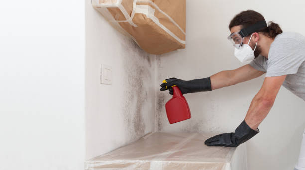 Professional Attic Mold Remediation technician working in Bellwood, VA