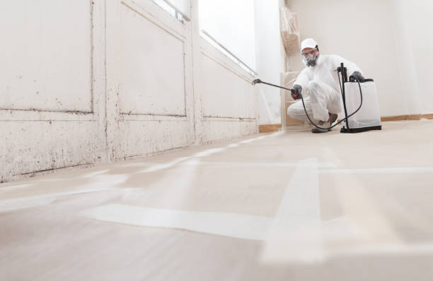 24/7 Emergency Attic Mold Remediation experts in Bellwood, VA